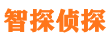 港南寻人公司